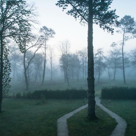 Les Chambres D'Hotes Du Domaine De Lugazaut Vielle-Soubiran Екстер'єр фото